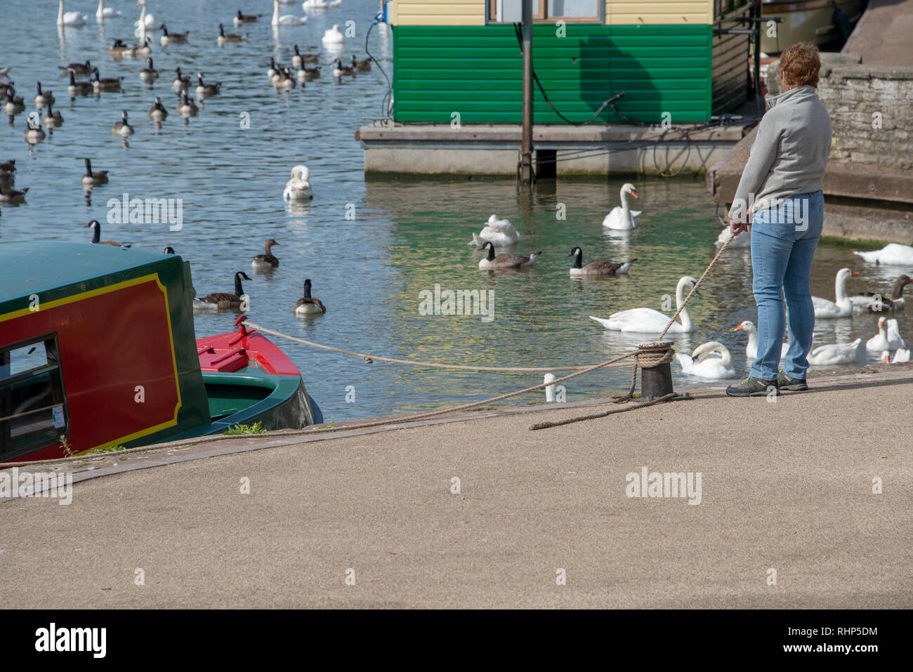 woman holds narrowboat against mooring point with a rope Stock Photo