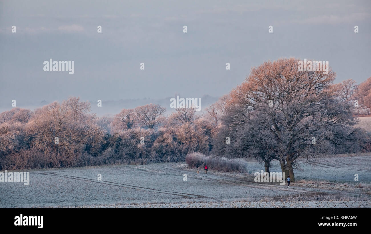 Sussex winter frost hi-res stock photography and images - Alamy