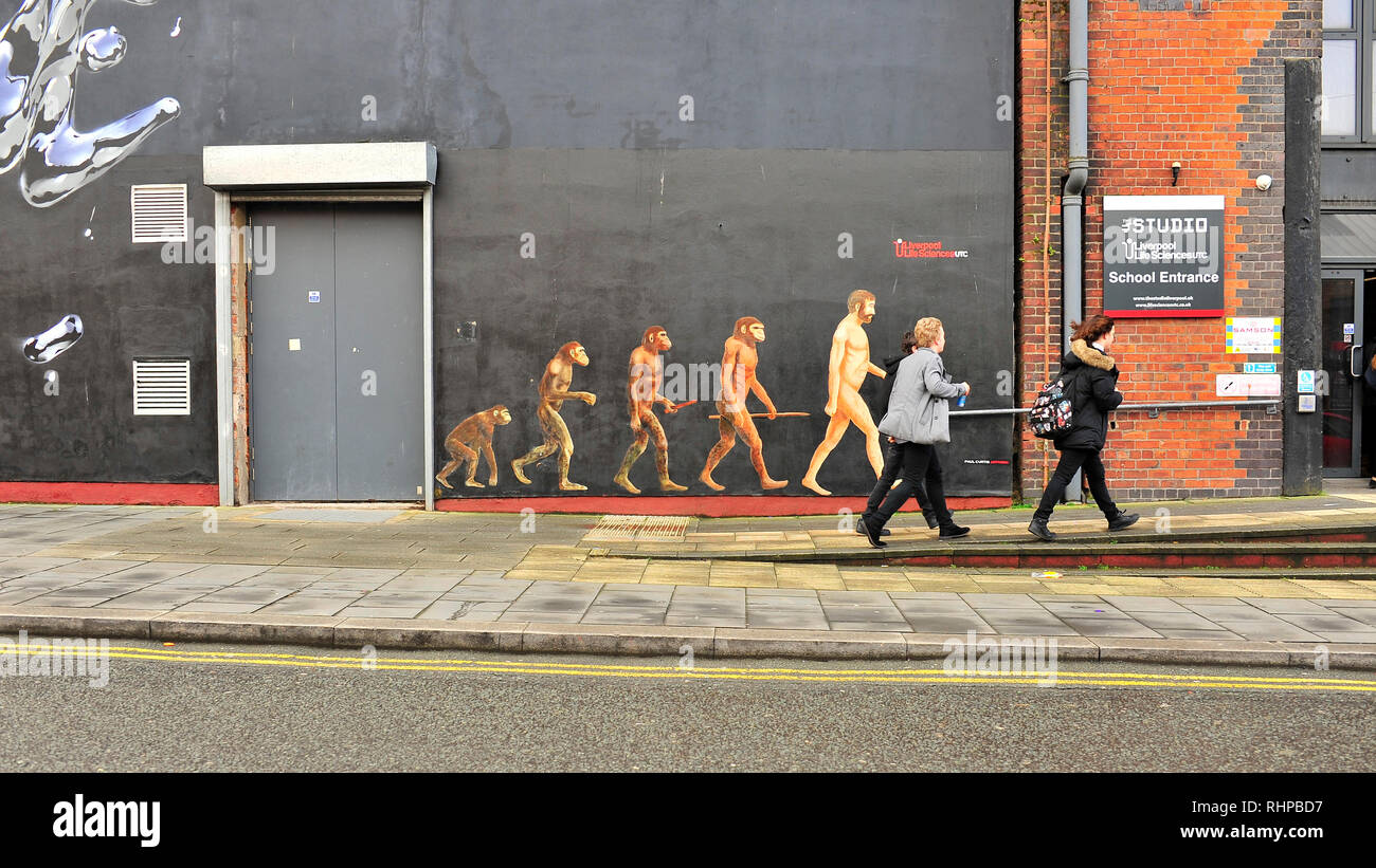 The ascent of man painting and school children heading into the Liverpool life sciences studio at the Contemporary Urban Centre,Liverpool Stock Photo