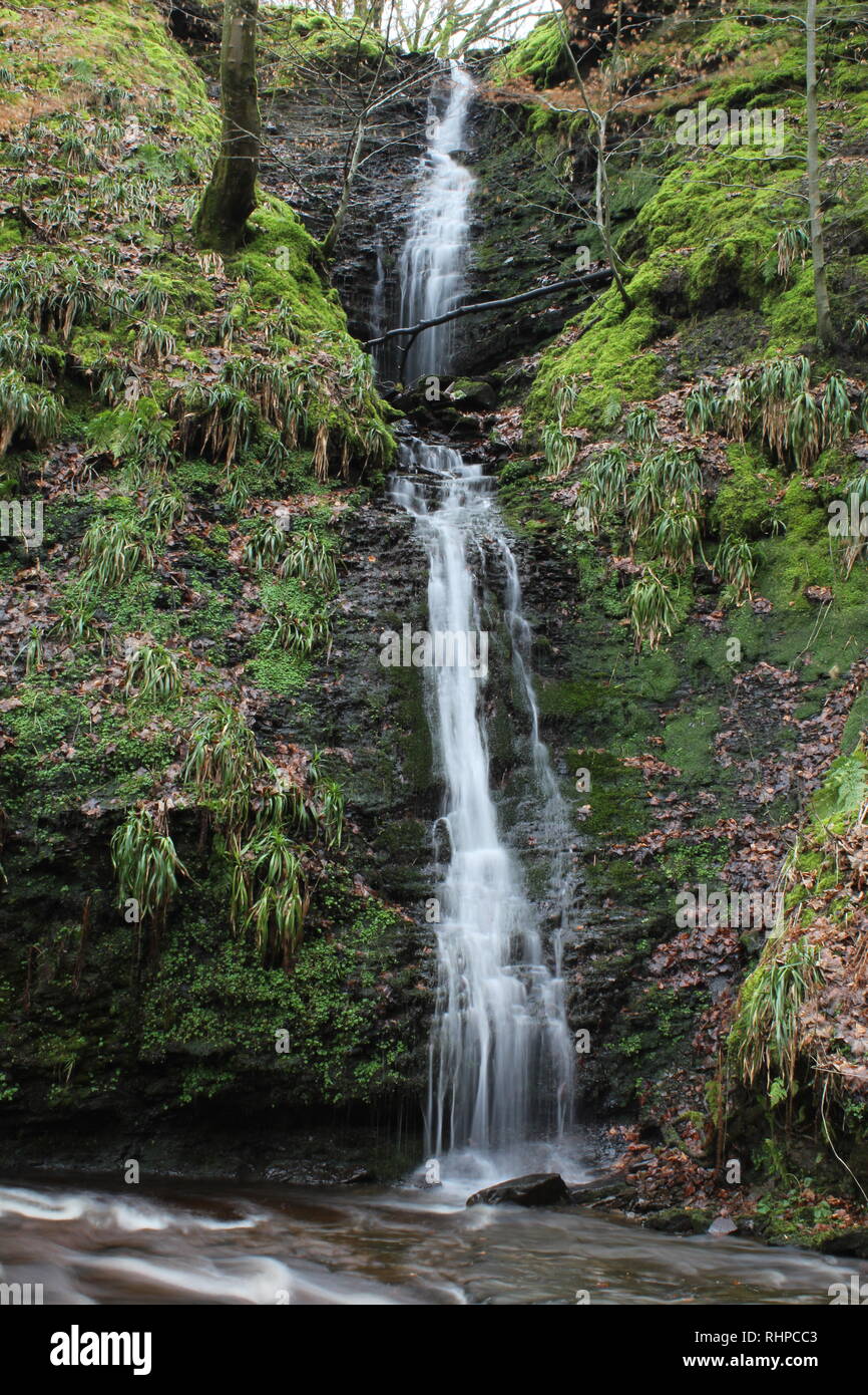 These falls are located in beautiful woodlands close to Abbey village
