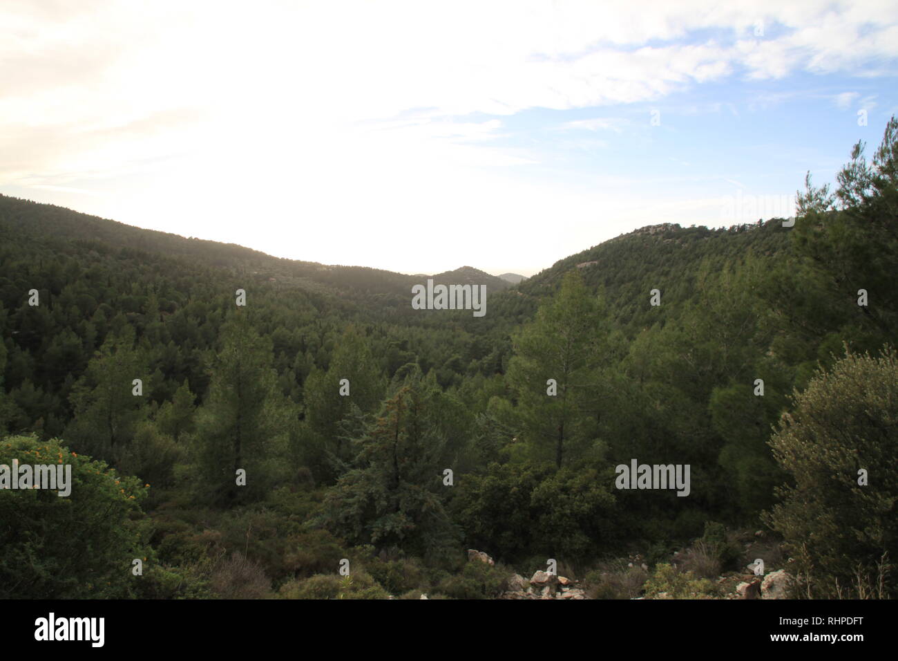 mountain Ymmitos - Greece: A beautifull green view of the forest of Ymmitos mountain in central Greece Stock Photo