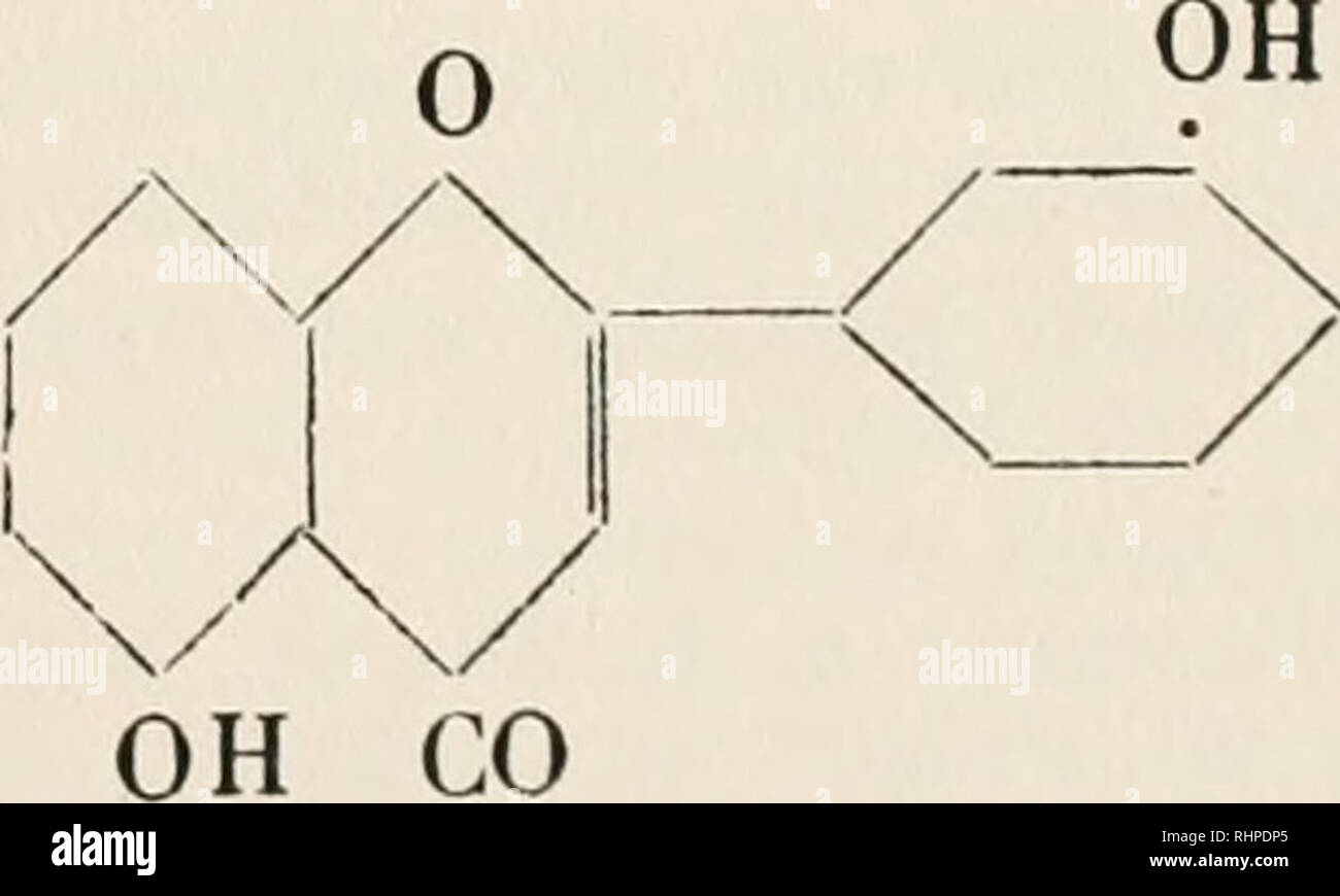 . Biochemie der Pflanzen. Plant physiology; Botanical chemistry. 1)Chevreul, Schweigg. Journ., 59, 366(1830). E. Moldenhawer, Lieb. Ann., 100, 180 (1856). — 2) F. Fleischer, Ber. ehem. Ges., 32, 1184 (1899). Fromm, Ebenda, p. 1184. E. Diller u. Kostanecki, Ebenda, 34, 1453 (1901). Farbstoff von Dig. lutea: Adrian u. Trillat, Corapt. rend., 12g, 889 (190Ü). — 3) F. ß. Powek u. A. H. Salway, Amer. Journ. Pharm., 84, 337 (1912). — 4) Herzig, Ber. ehem. Ges., 29, 1013 (1896), Rochleder u. Breuer, Sitz.bei. Wien. Ak., ^4, IT, p. 127 (1866). — 5) Perkin, Journ. Chem. Soc, 6g, 206 (1896); Chem. News, Stock Photo