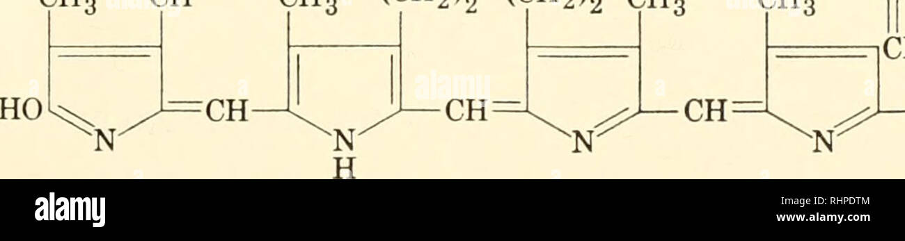 250 Mg High Resolution Stock Photography And Images Alamy 250 Mg High Resolution Stock Photography And Images Alamy