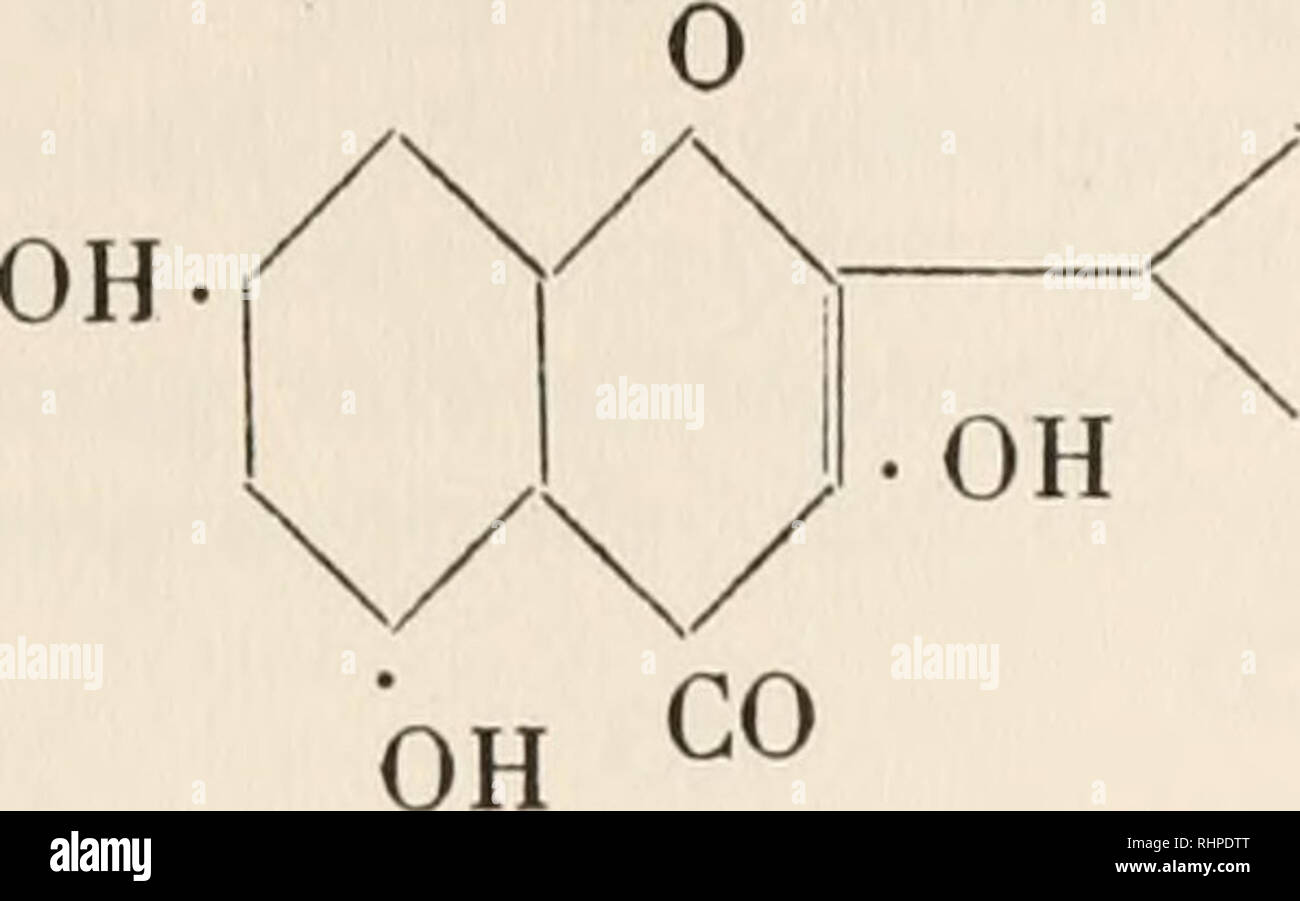 Page 3 Nagi High Resolution Stock Photography And Images Alamy Physiology by doctor nagi is youtube channel that has a net worth of $12,000 dollars as of november 2020. alamy