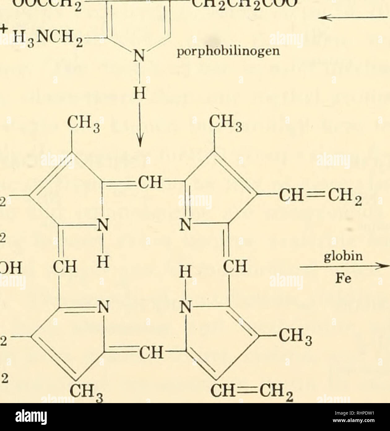. Biochemistry of plants and animals, an introduction. Biochemistry ...