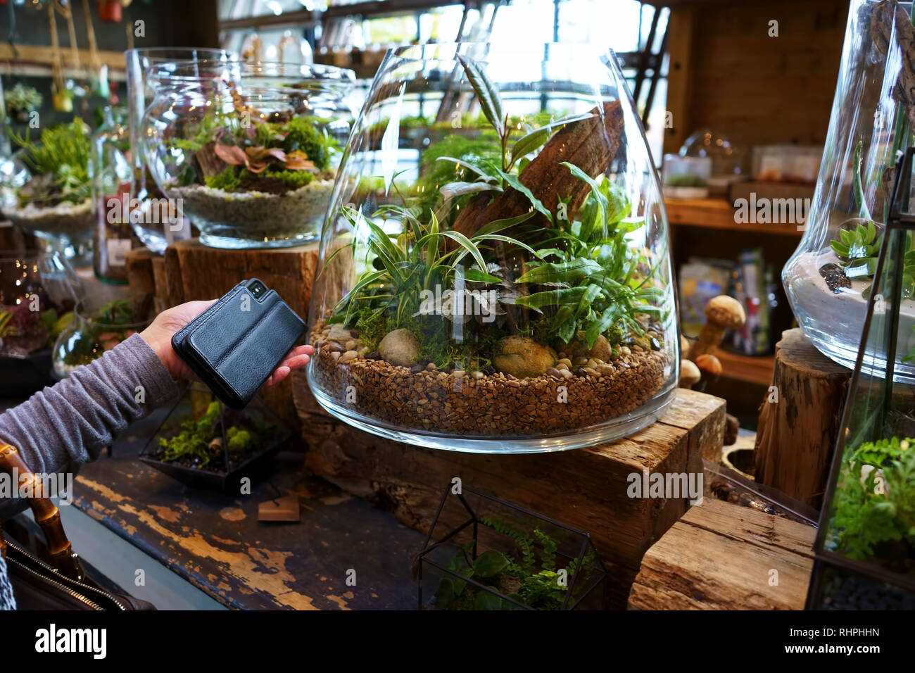 Terrariums in the home, Garden