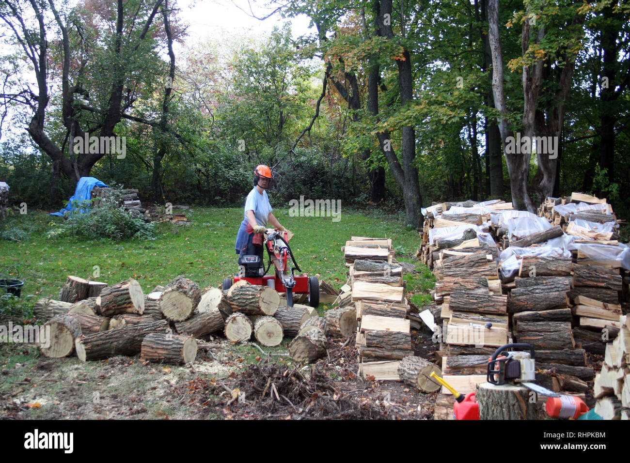Woman Splitting And Stacking Firewood Stock Photo Alamy