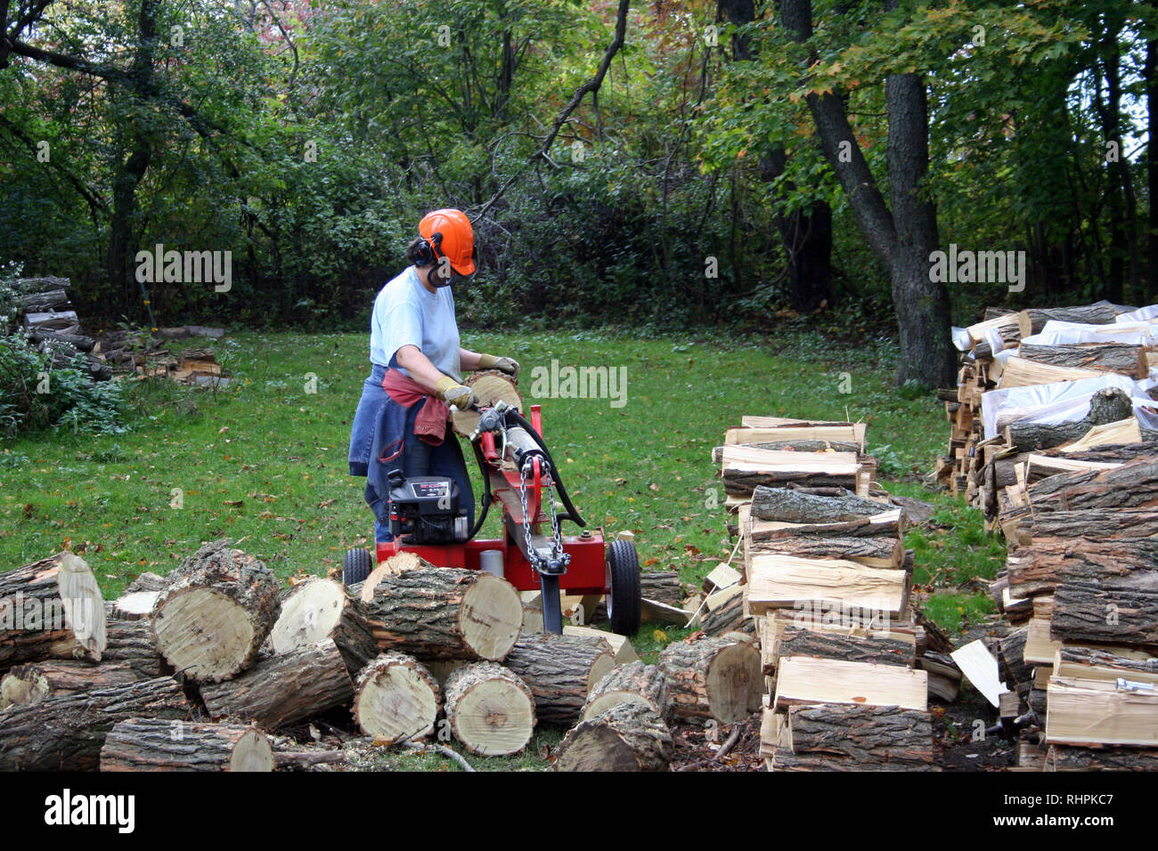 Cutting Splitting And Hauling Firewood Stock Photo Alamy