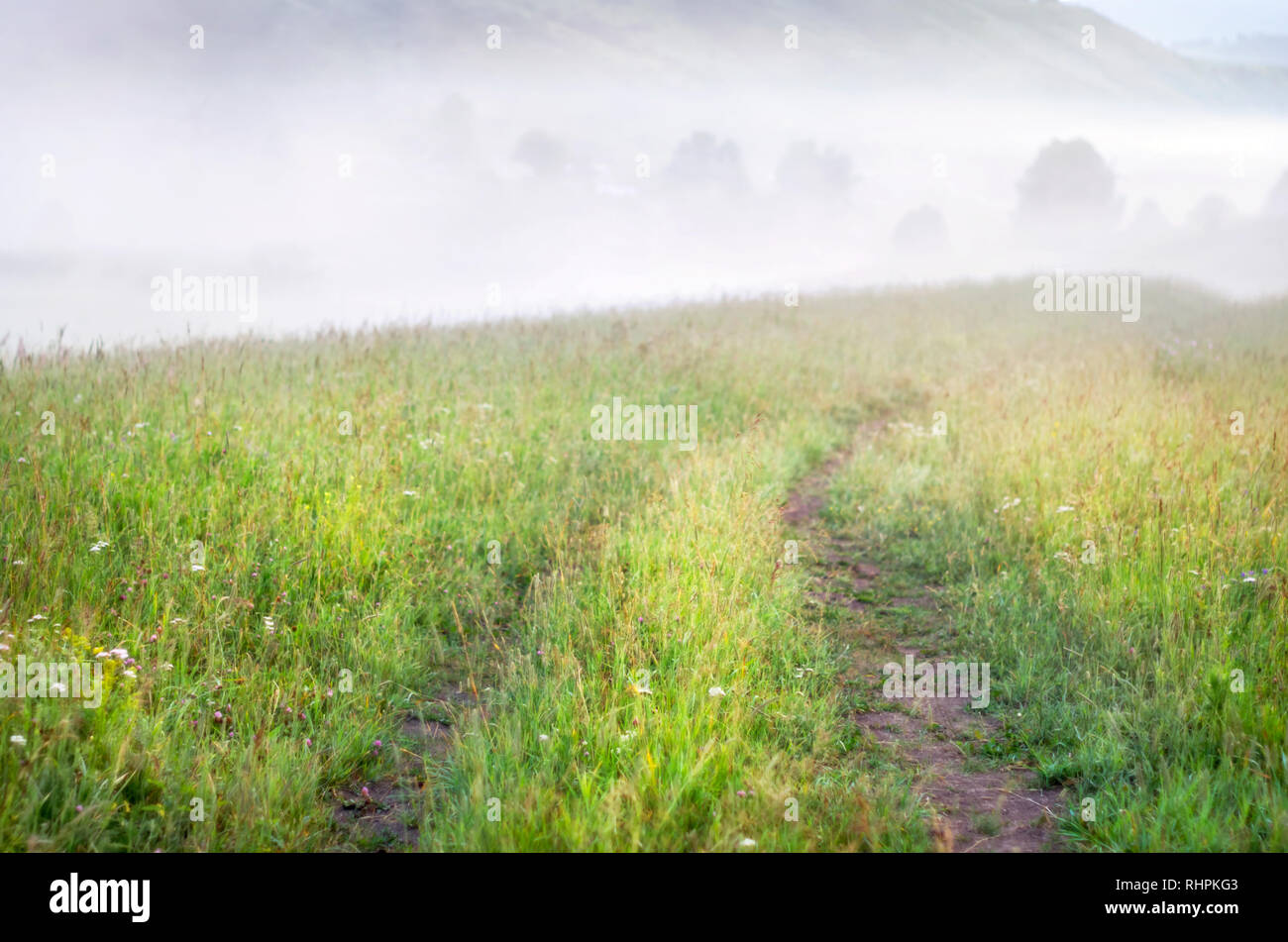 Country Dirt Road Winding in Tall Grass. Early Morning, Thick Fog over Trees. Altai Mountains, Kazakhstan. Mountain Hiking, Traveling Concept Stock Photo
