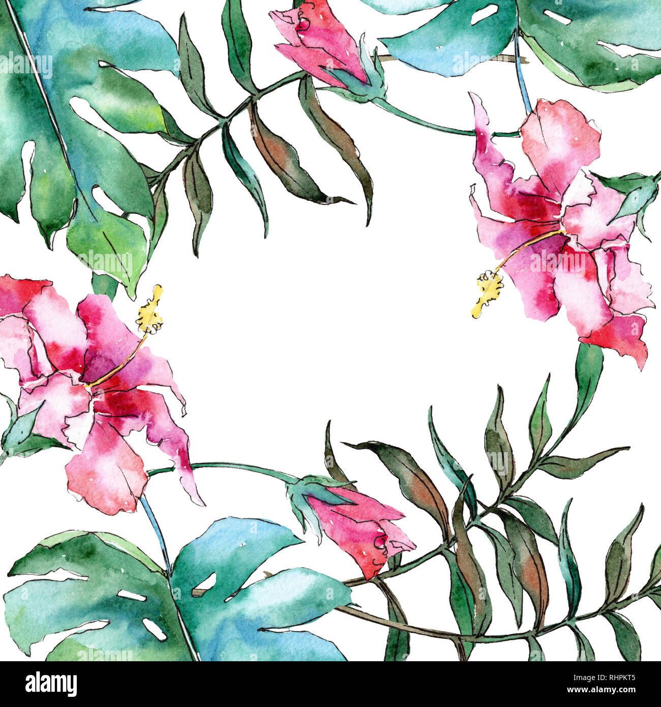 Pink exotic tropical hawaiian flower. Watercolor background illustration set. Frame border ornament square Stock Photo - Alamy Pink exotic tropical hawaiian flower. Watercolor background illustration set. Frame border ornament square Stock Photo - Alamy
