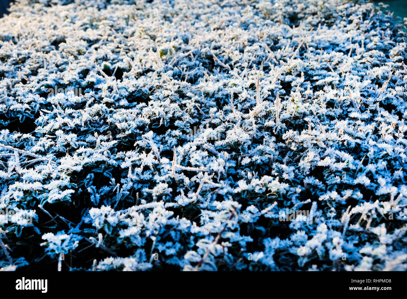 Image result for how does radiation frost form