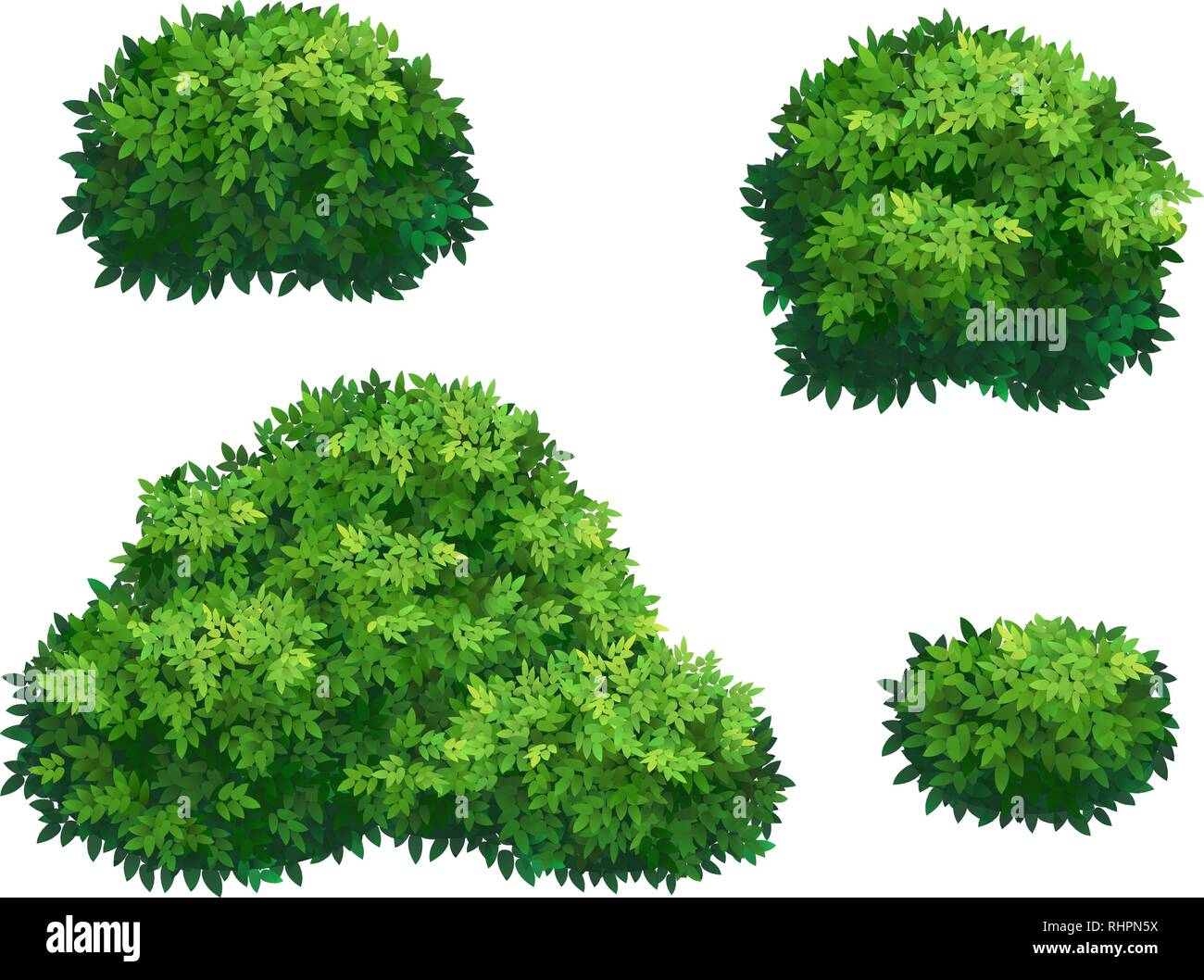Green bushes and tree crown. Stock Vector