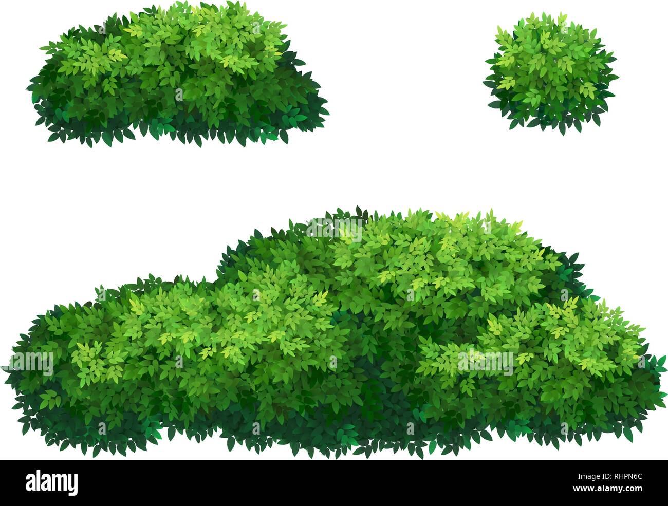 Green bushes and tree crown. Stock Vector