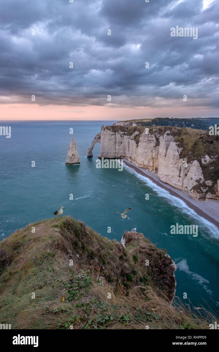 Cliffs of Etretat at sunset with seagulls in Normandy, France Stock ...