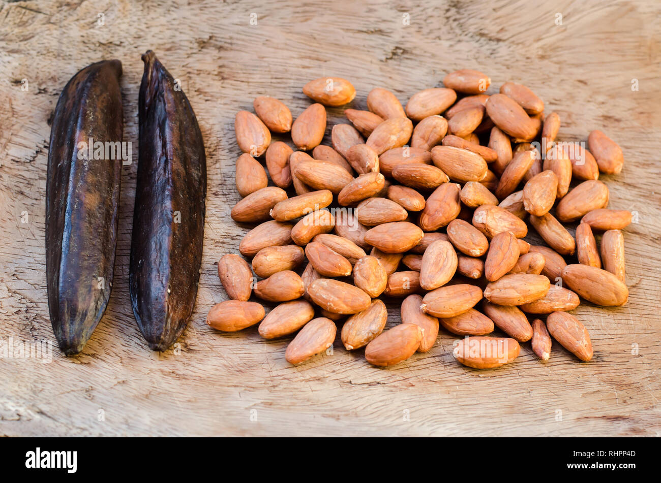 Vainilla beans and raw cocoa seeds Stock Photo
