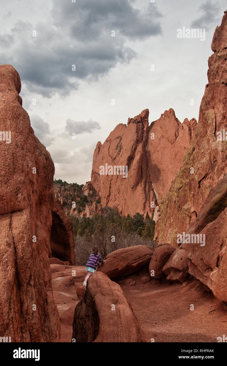Gnarled trees and striking red rock formation spires of the Graden of the Gods Park Colorado Springs, USA, fall season Stock Photo