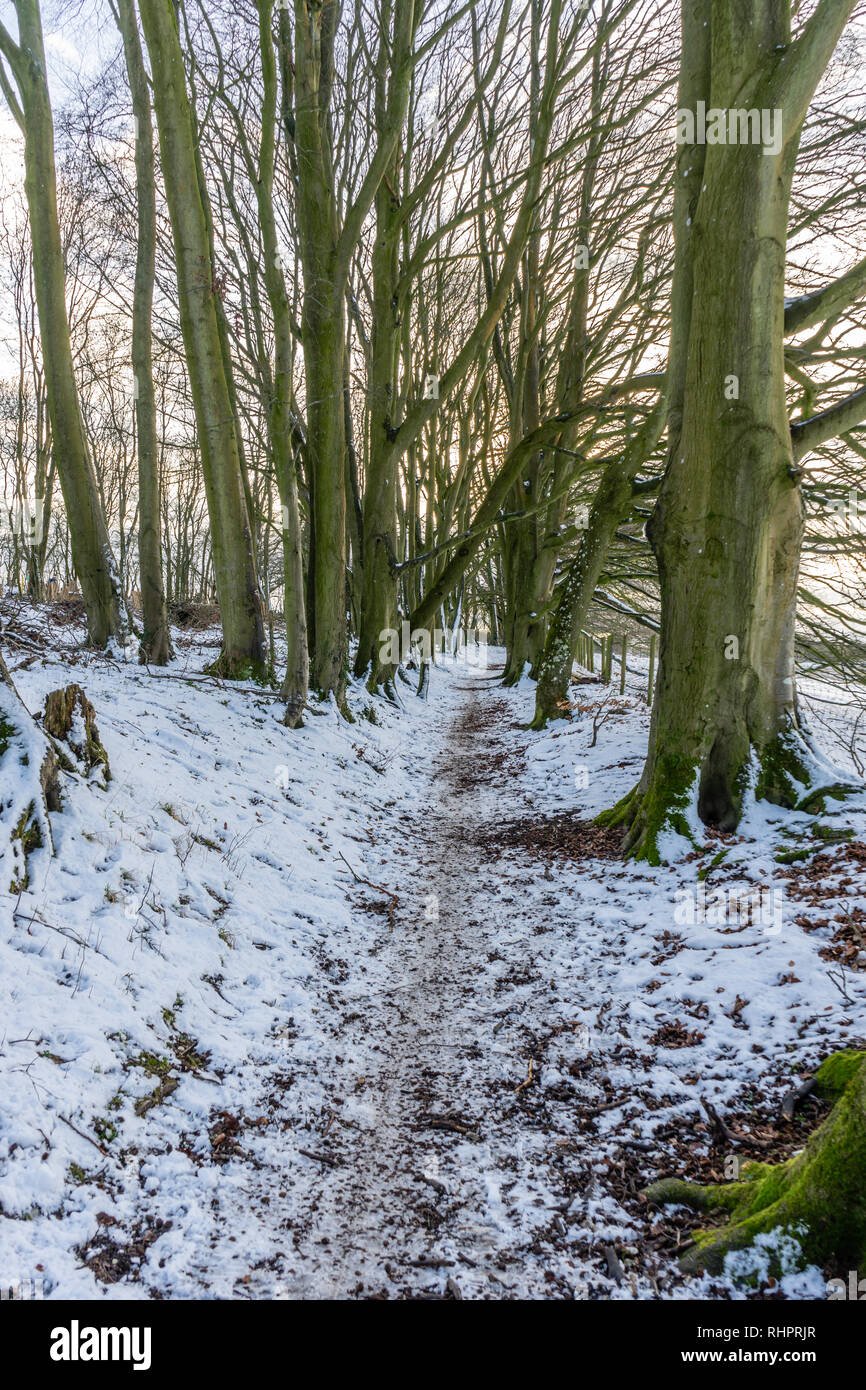 Snow covered path on the South Downs Way at Cheesefoot Head, Hampshire, England, UK Stock Photo
