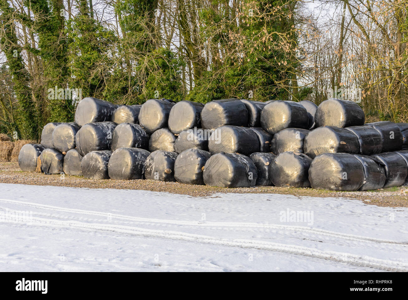 Stacked hay bales during winter covered and wrapped in black plastic