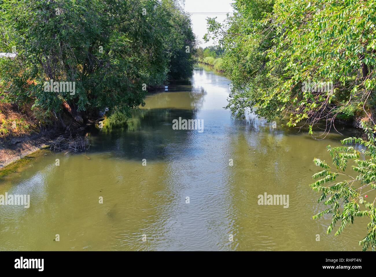 Views of Jordan River Trail with surrounding trees, Russian Olive