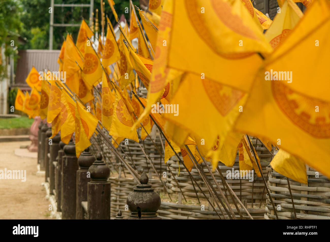 Many Yellow Dhamma Chakka or Wheel of Dhamma Buddhist flags flying at a Buddhist temple in Chiang Mai, Thailand. Stock Photo