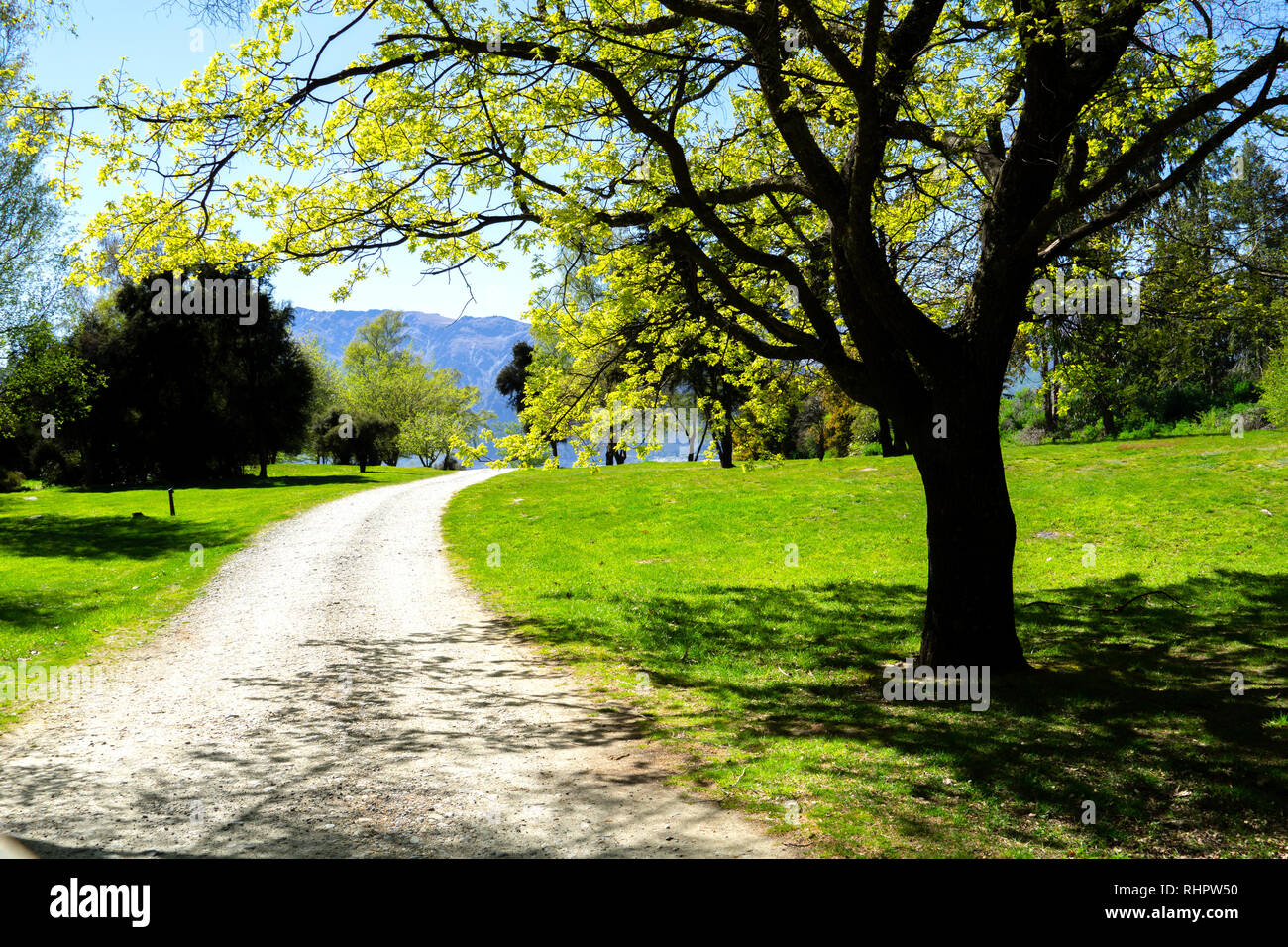 Gravel path between trees and under spreading oak tree along side Lake