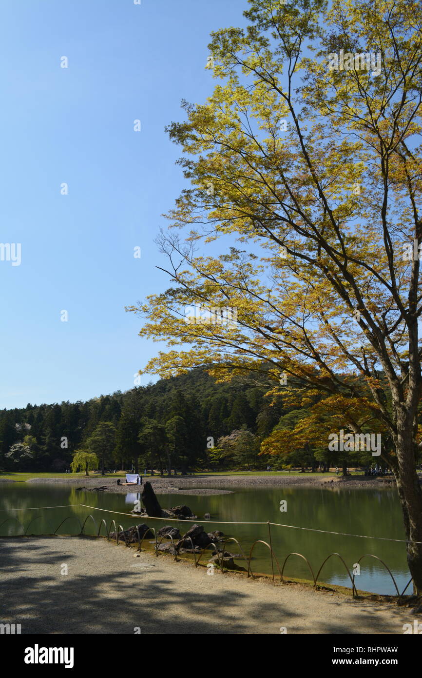Pure land garden japan hi-res stock photography and images - Alamy