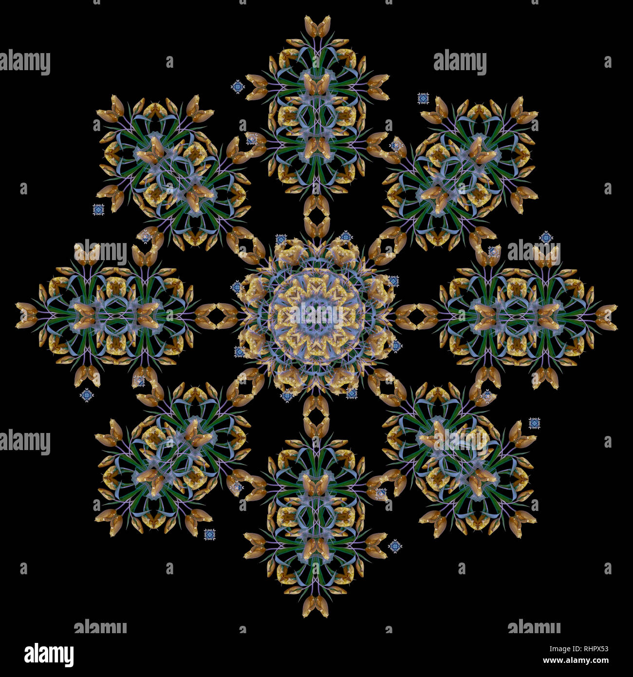 Fine Art Floral Decorative And Symmetrical Fractal Color