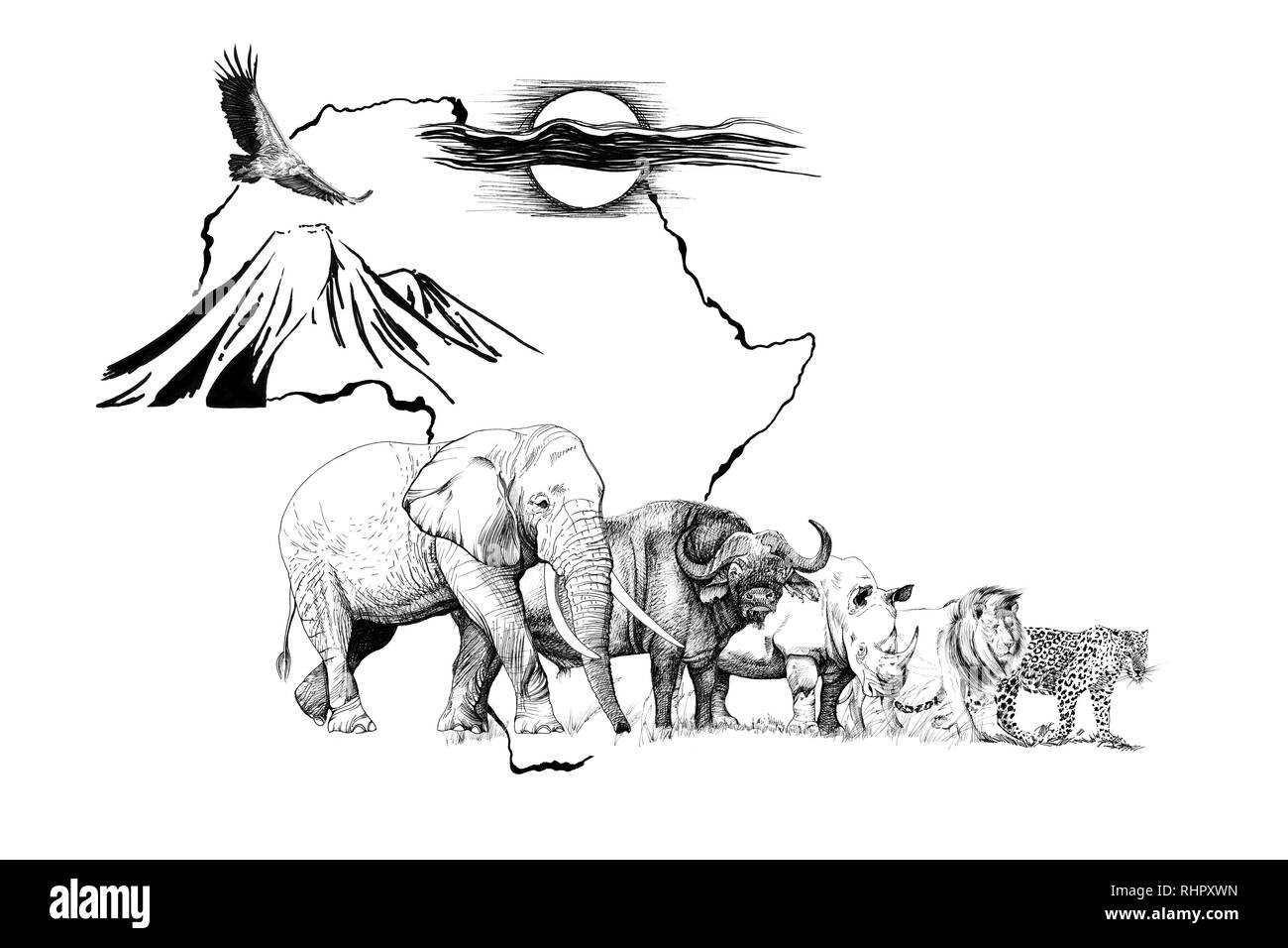 Big five drawing hi-res stock photography and images - Alamy Big five drawing hi-res stock photography and images - Alamy
