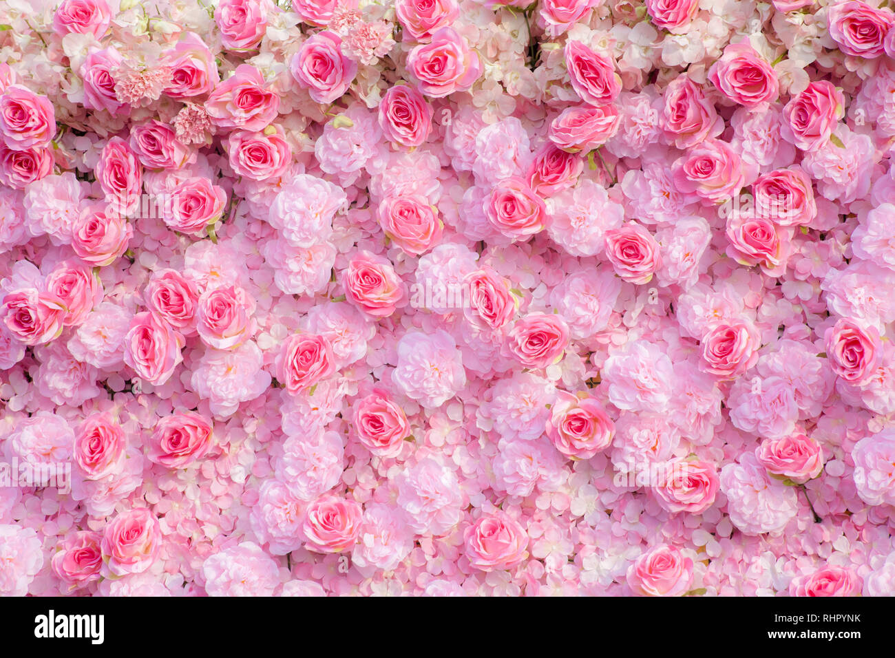 73 Pink Flowers Backgrounds  WallpaperSafari