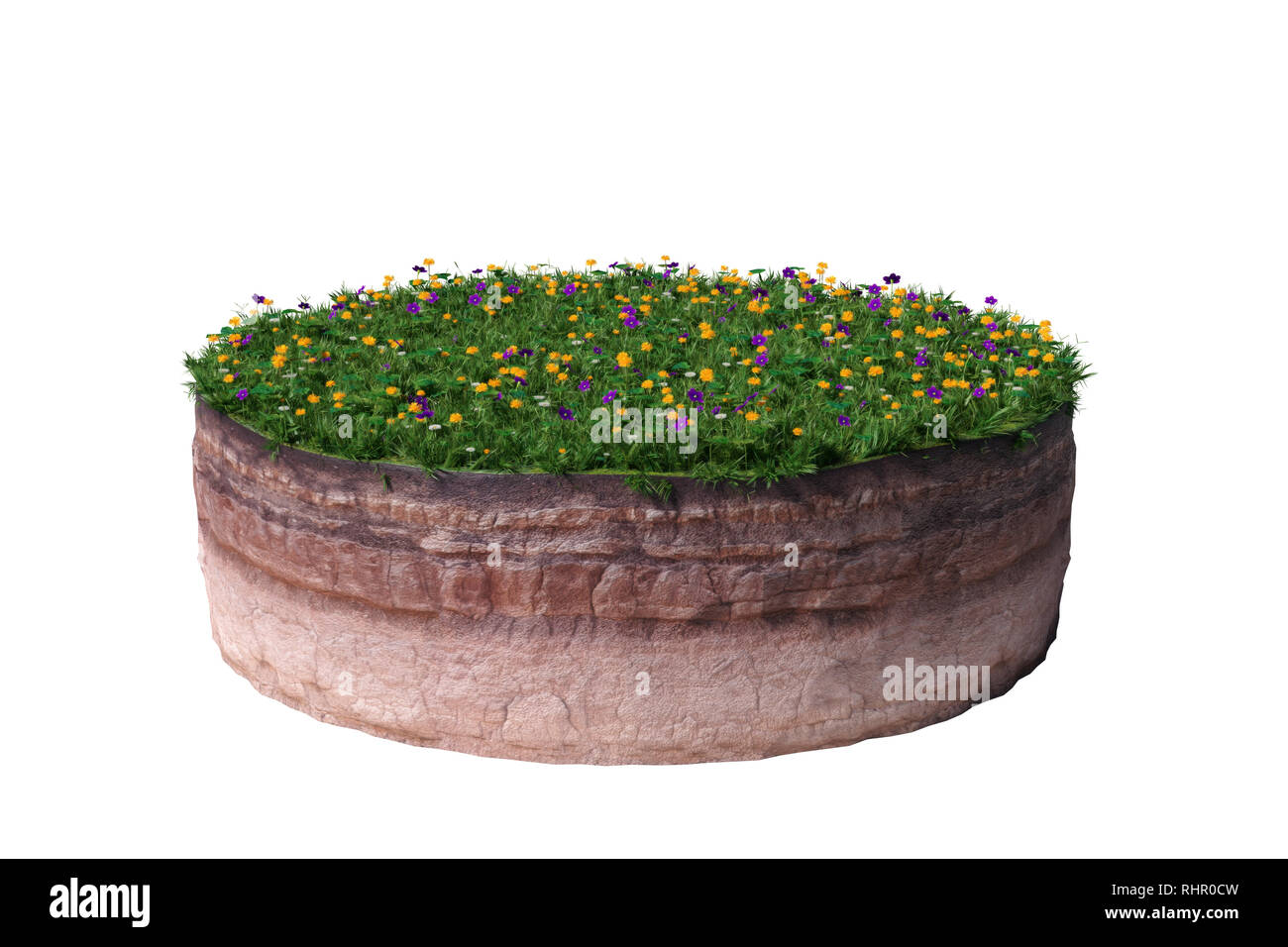 model of a cross section of ground with grass and flowers on the surface (3d illustration, isolated on white background) Stock Photo