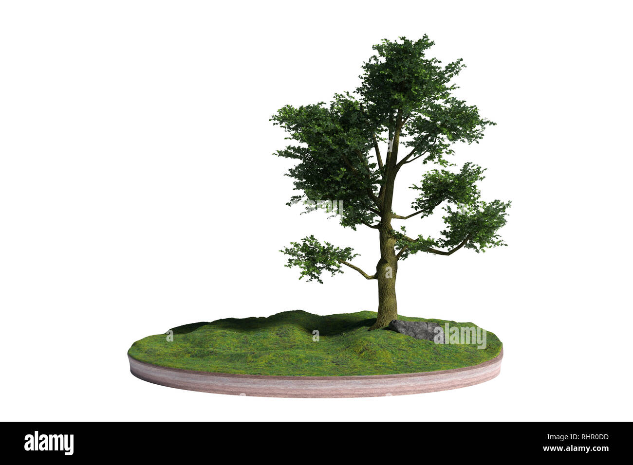 model of a cross section of ground with tree, rock and grass on the surface (3d illustration, isolated on white background) Stock Photo