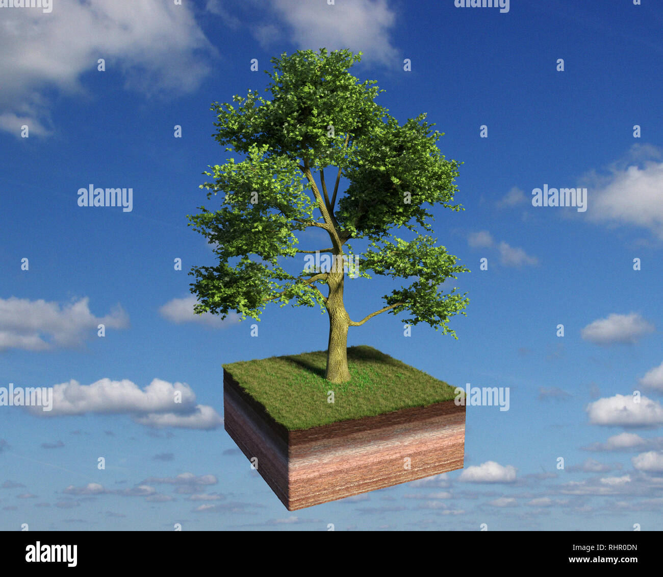 model of a cross section of ground with white ash tree tree and grass on the surface in front of blue sky with clouds Stock Photo
