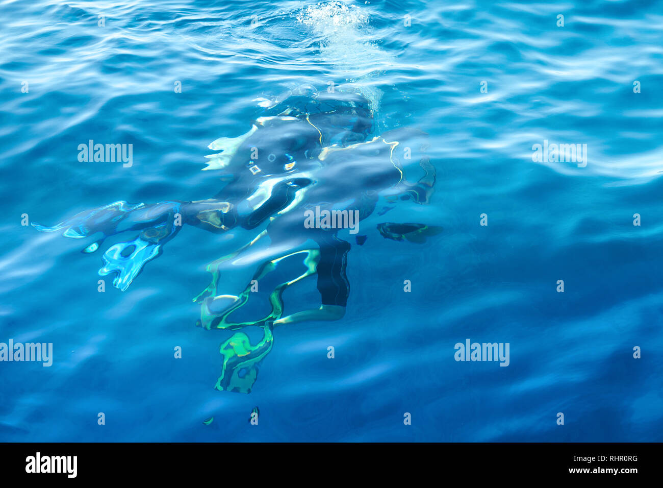 Two Divers Under The Water Stock Photo Alamy