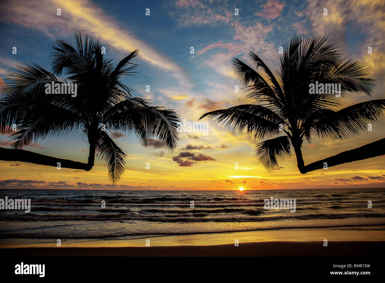 Palm tree at sea with the sunset and sky Stock Photo - Alamy