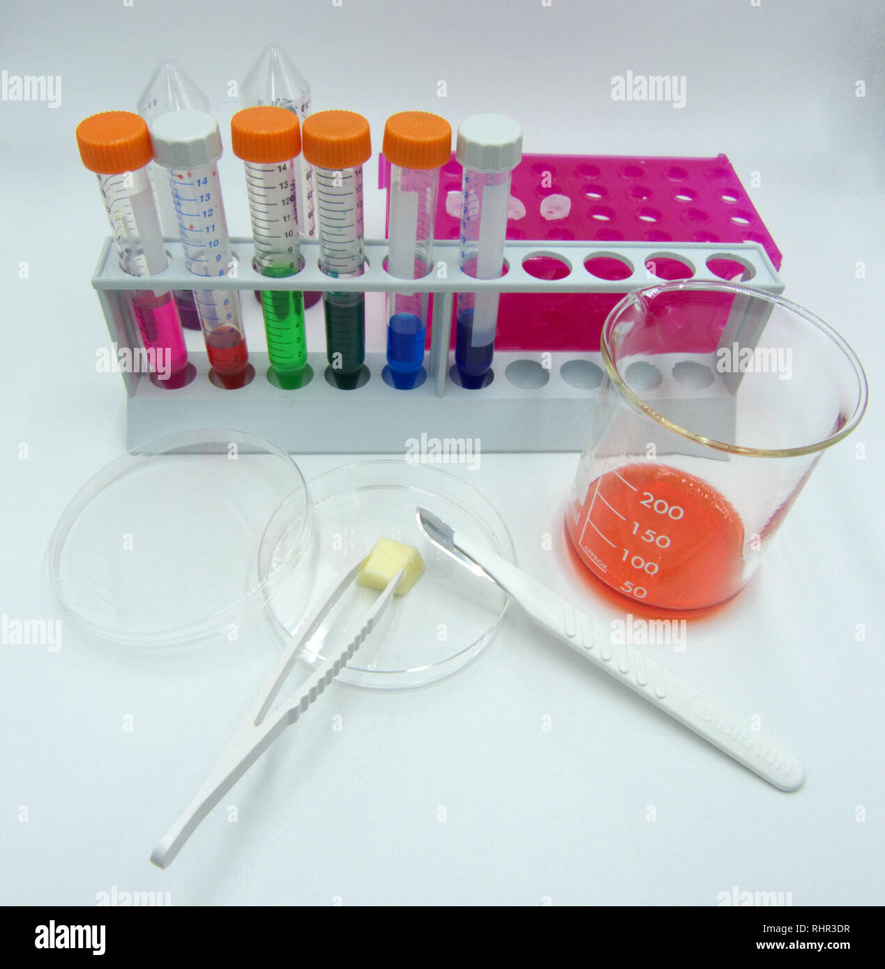 Laboratory labware for science experiments, white background Stock