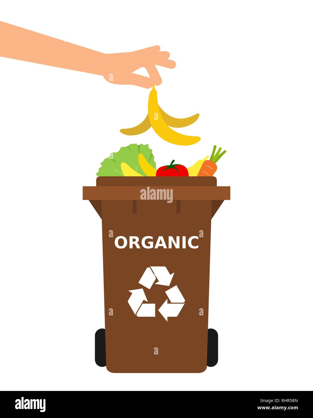 Hand throwing a banana peel into a recycle bin. Recycling organic waste