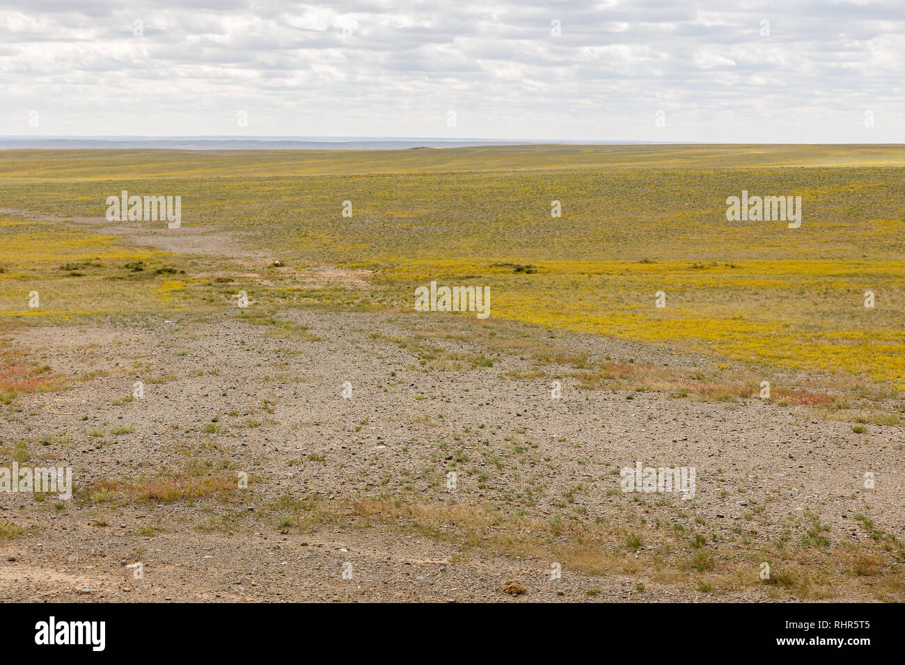 Gobi Desert, Autumn Beautiful Mongolian Landscape, Mongolia Stock Photo 