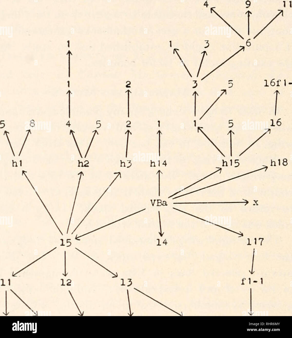 Vba High Resolution Stock Photography And Images Alamy
