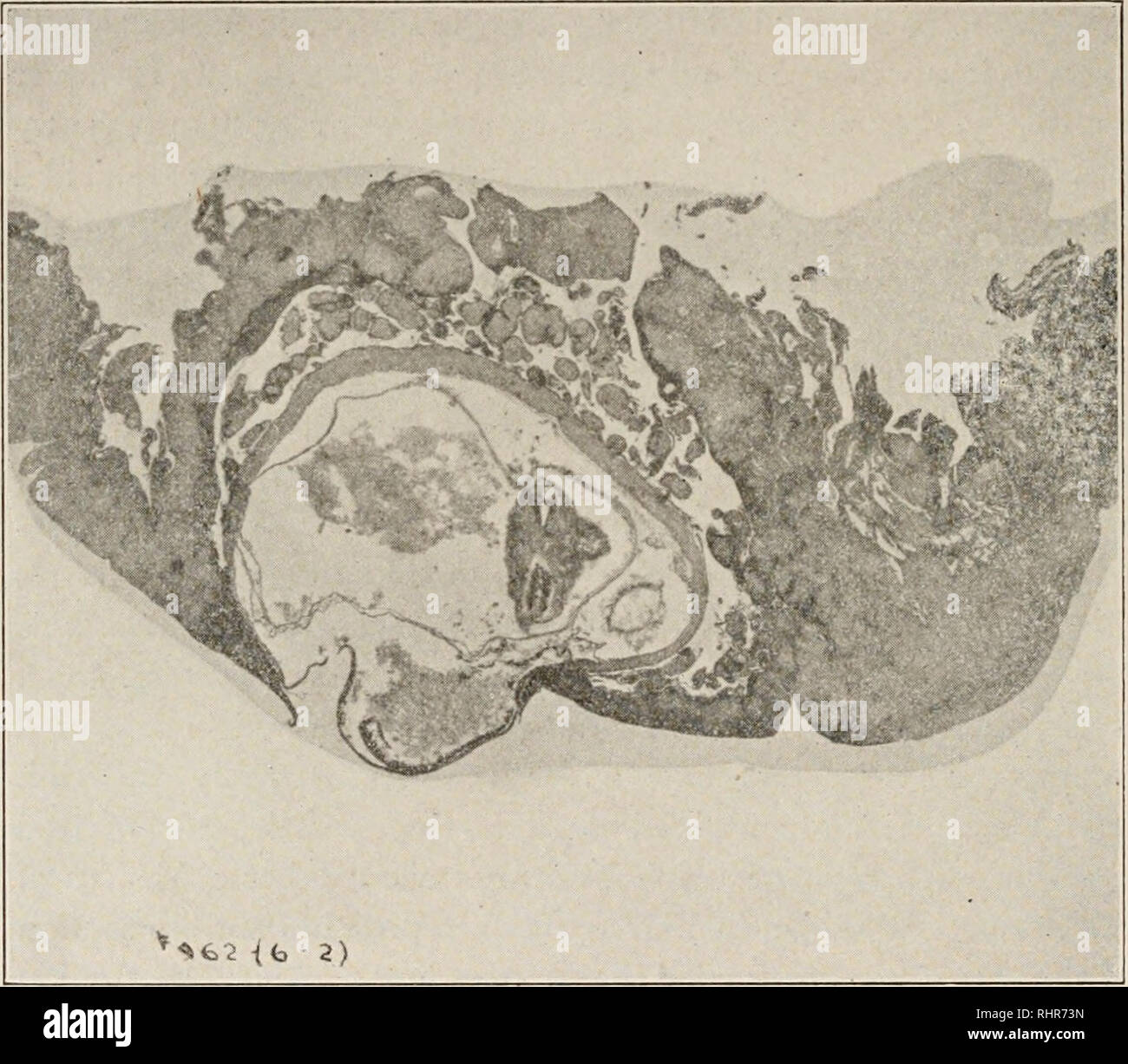 Long maceration hires stock photography and images Alamy