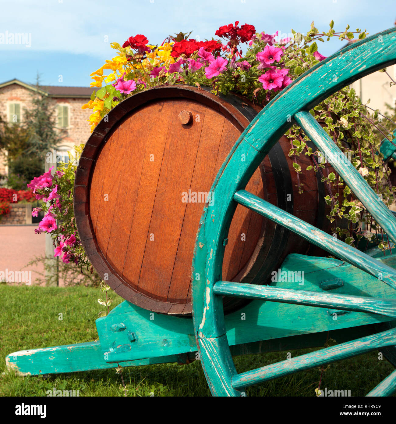French wine village vineyard wine barrel harvest festival display Stock