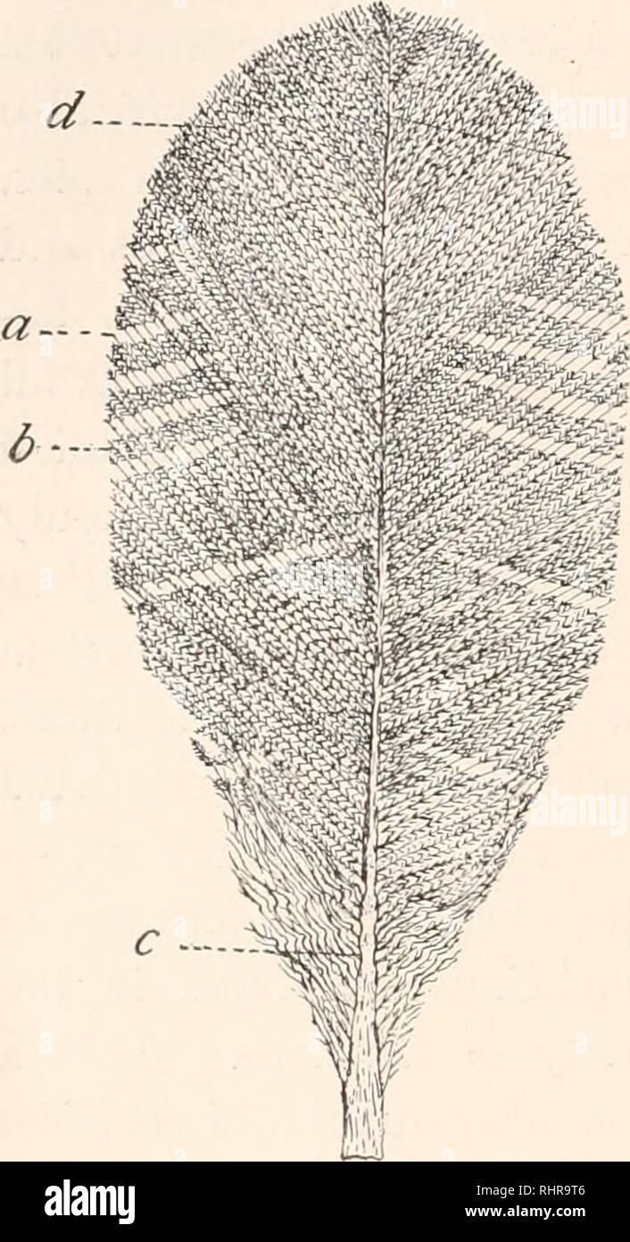 Oscar shall hi-res stock photography and images - Alamy