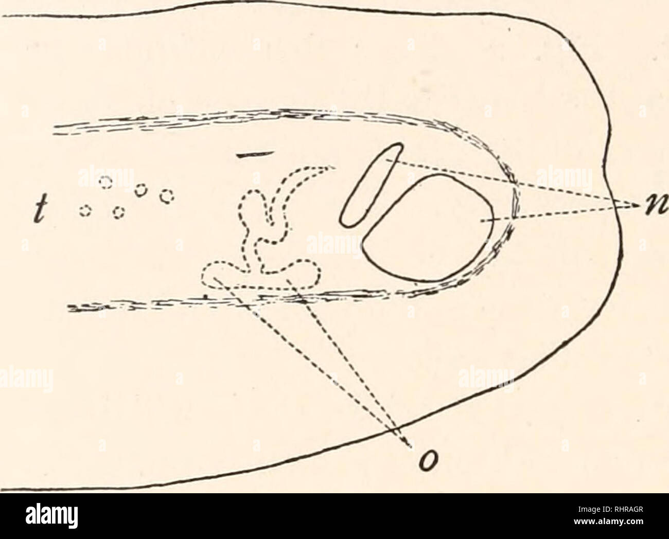 Diagramatically High Resolution Stock Photography and Images - Alamy