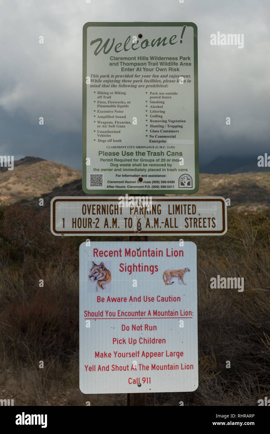 Sign warning for recent mountain lion sightings in Claremont, California Stock Photo