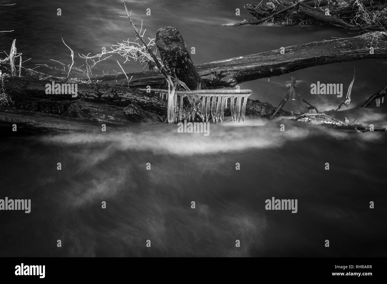 Woods and river Black and White Stock Photos & Images - Alamy