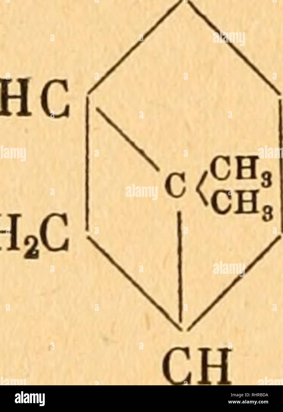 Fenchon . Biochemie der pflanzen, von dr. phil et med. Friedrich Czapek. Plant ...