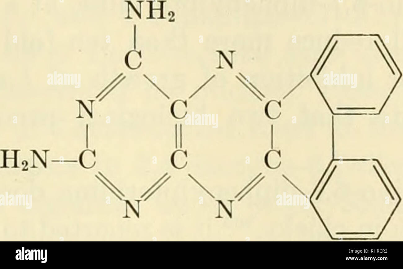. The Biochemistry of B vitamins. Vitamins; Vitamin B complex. THE FOLIC ACID GROUP 589 Mallette, Taylor and Cain 141 was extremely effective in inhibiting the growth of Streptococcus faecalis R. The effects of these pteridines and related compounds on a number of organisms are indicated in Table 21. The inhibitory effects of these pteridines are prevented in a competitive manner by folic acid, particularly for Streptococcus faecalis R. The most effective inhibitors of these pteridines are those with aromatic substitu- ents in the 6,7-positions, e.g., 2,4-diamino-6,7-diphenylpteridine, 2,4- di Stock Photo
