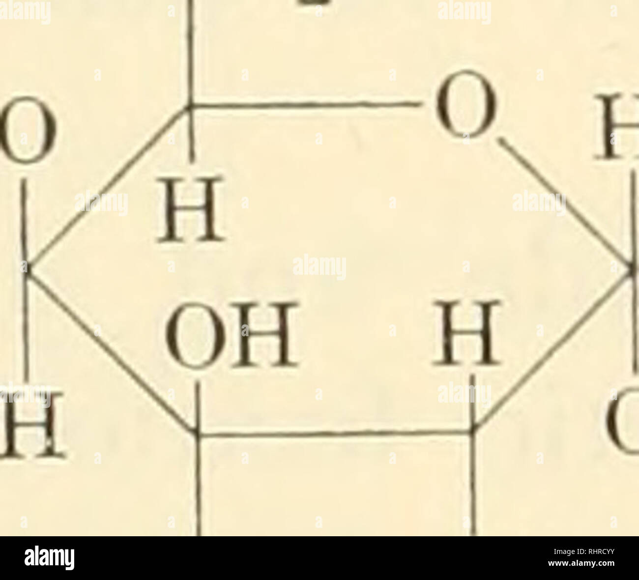 T d glucose 6 phosphate hires stock photography and images Alamy