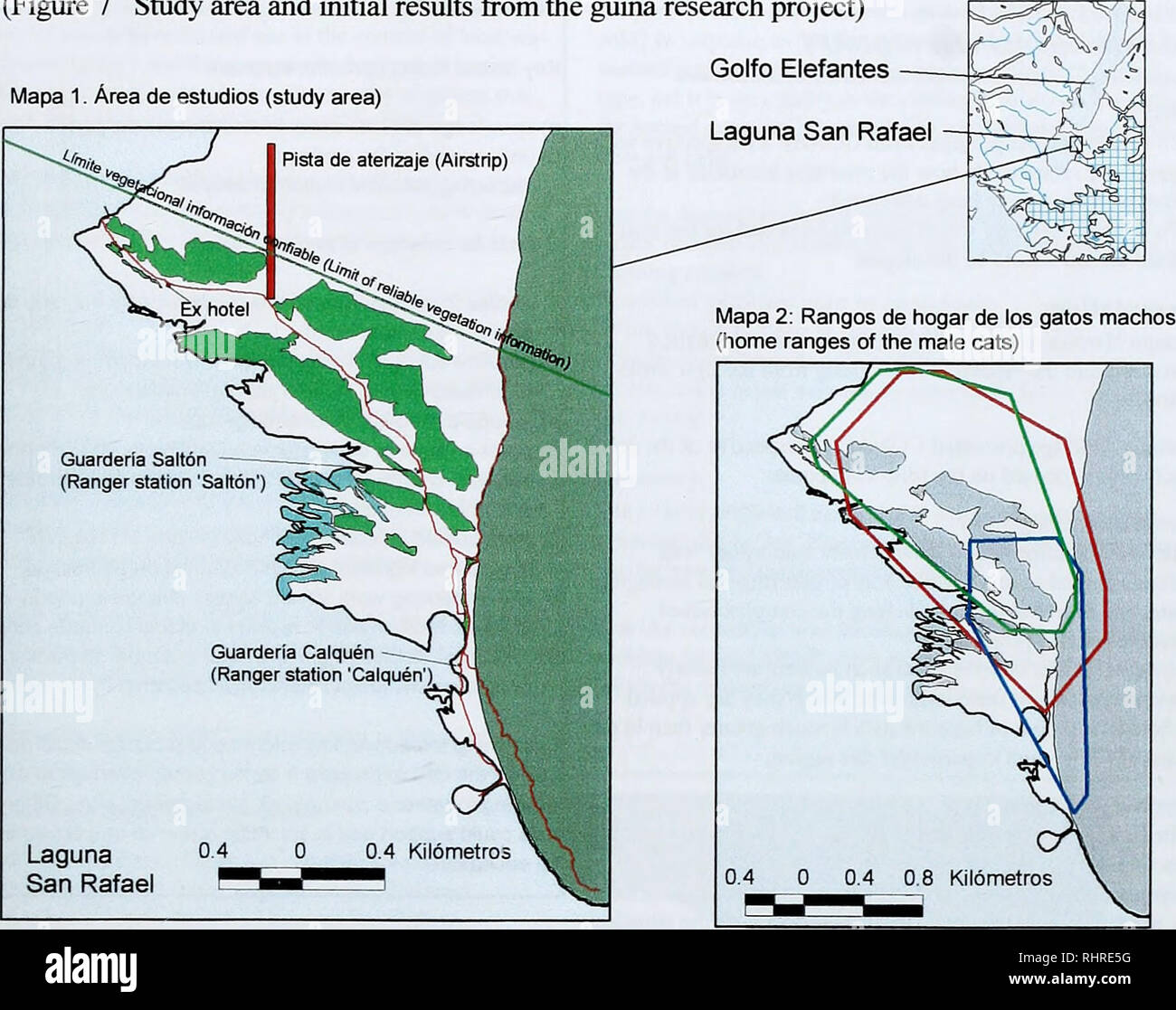 . Biodiversity research in the Laguna San Rafael National Park: programme review and forward planning. Figura 7 Area de estudio del proyecto guina y resultados iniciales (Figure 7 Study area and initial results from the giiifia research project) Mapa 1. Area de estudlos (study area). Leyenda (Key) Ay Senderos {Trail system) I I Turtera (Salt marsh) â I Infraestructura (Infrastructure) I I Laguna San Rafael ^B Vegetadon mixta boscosa y arbustiva (Mixed forest and ltiicl&lt;et vegetation) Iftssj Ladera pronunciada - bosque / artusto (Steep hillside - forest/thicket) I I Rango de guina #1 - macho Stock Photo