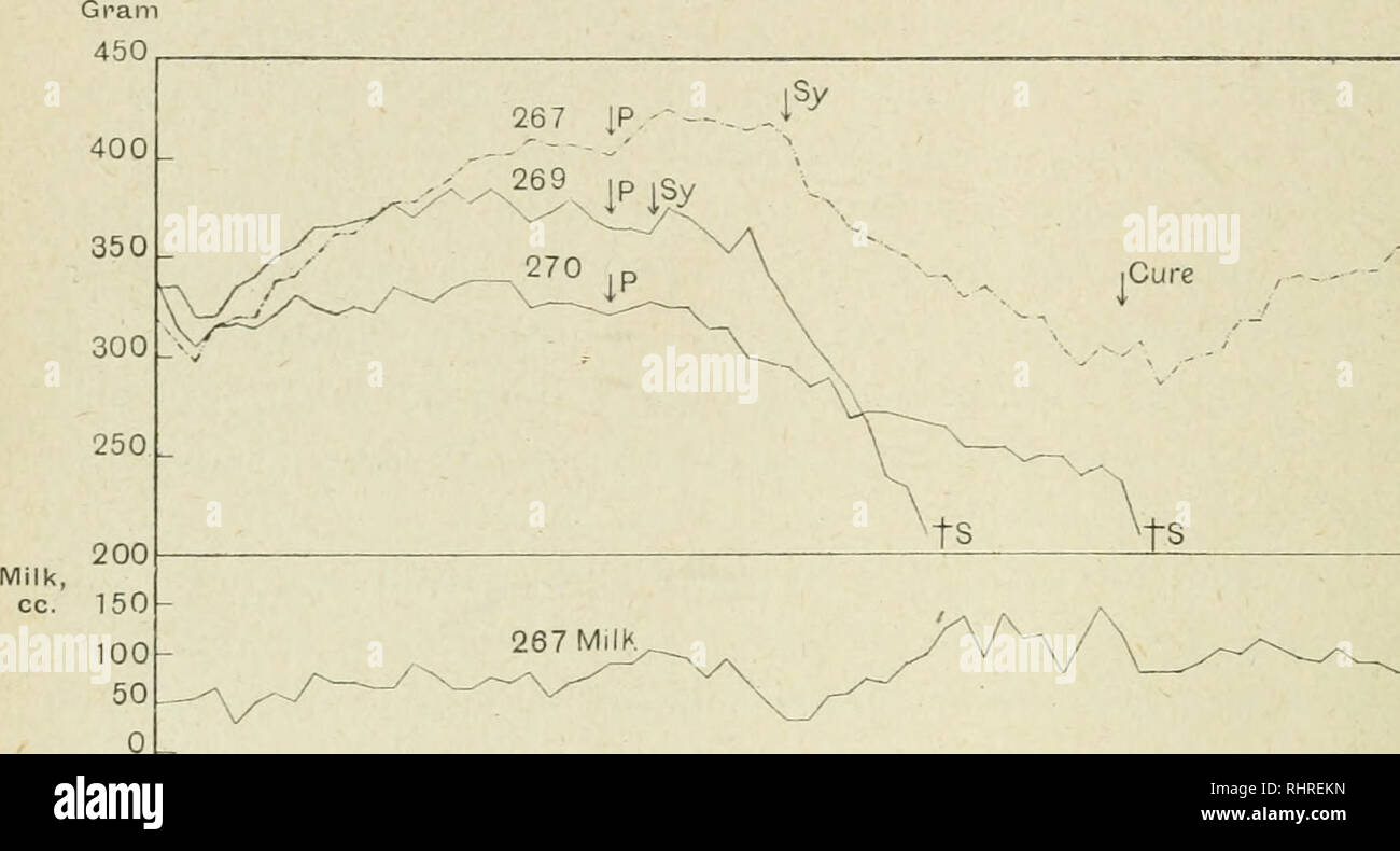 . The Biochemical journal, 1918. Biochemistry. 14H II. CHICK, E. M. HVME AXJ) R. F. SKELTON symptoms were noticed. A few days later a steady fall in weight set in and death from scurvy took place on the 39tli and SOtli days respectively. The weight charts of these animals are set out in Chart 5, and their histories should be compared with those dealt with in Table II, where the animals received a similar diet without addition of any paraffin. The third curve in. /--^ Days 10 15 20 25 30 35 40 45 50 55 60 65 70 Chart 5. Weight curves of young guinea-pigs upon a diet of oats, bran and autoclaved Stock Photo