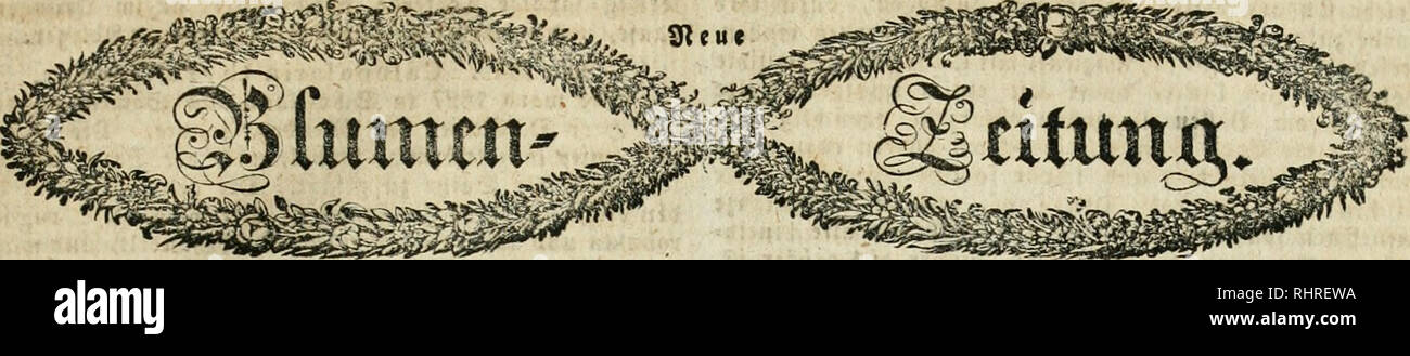 . Blumen-Zeitung. Floriculture; Flower gardening. ^r. 33.. $)tiiu t itieben unb eerlrgt eon Sriebridt f)aile r. SBei^enfee {in Sl^uringcn), ten 23. 2(ugu|t 1836. IX. 3al)rgang, Itebec tie guUur bcr Qamdlkn I'm Snnmergarten. (!DJitaet()cili con Q. aui 2.) (iScrlfceiina.) n. SB a r m'e. a) ifinipredjt jii S3fr[frt voiti, bng (Tc tii'At wtnfger cig 6 ®rob bftrage, un6 fciird) Ofcnmarme nidit liber 12 ®ra6 ge(lc(gert rocrBe. b) 9? ill J mia nur nnturlicte acarme, unb bei gro(l fiugtrft wcnig Offnrt&gt;arnie. c) Tsncob ©etCel ocrrnngt Bom Dctober hii dnht Saniinr 2—5 Orab, iann aber c(neti fonnigen Stock Photo